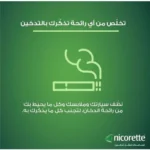 ⁦Nicorette Gum Freshmint 4mg 30 Pcs⁩ - الصورة ⁦4⁩