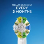 Oral-B Pro Battery Precision Clean Toothbrush - Image 5