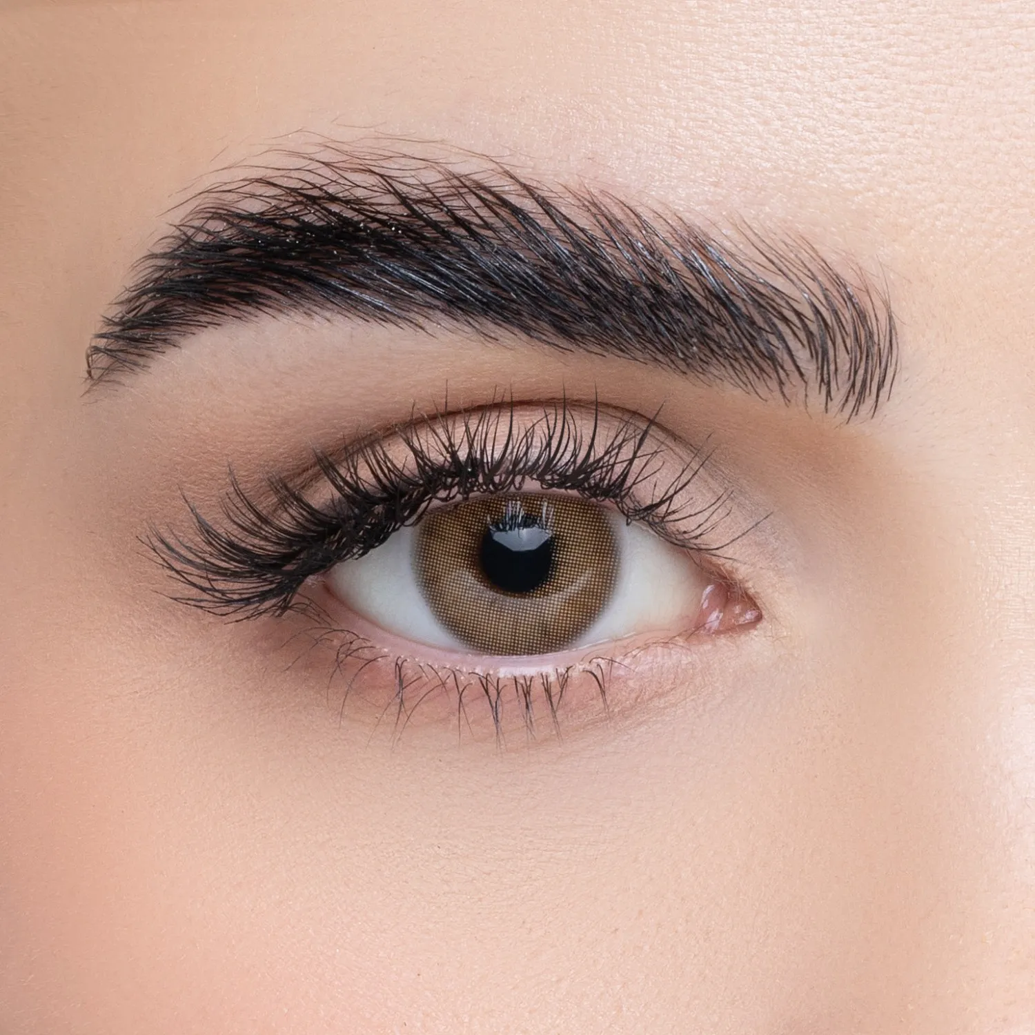 imgi_47_5121430_1742296261_20561692323db6fa9ac076407e31ed6a-1500x1500 Beauteous Color Contact Lens - Hot Cocoa - الصورة 1