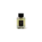 Eau de Parfum Leverto Femme 100ml by Pierre Roche for Women