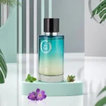 ⁦Eau de Parfum Pour Loui 100ml by Pierre Roche for Men⁩ - الصورة ⁦2⁩