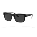 Ray-Ban Sunglasses Black Unisex RB4428