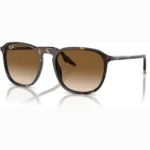 Ray-Ban Sunglasses brown Unisex RB2203
