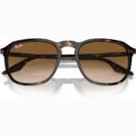 ⁦Ray-Ban Sunglasses brown Unisex RB2203⁩ - الصورة ⁦2⁩
