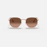 Ray-Ban Unisex hexagon sunglasses Brown RB3548N