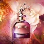 Scandal Jean Paul Gaultier By Night Eau de Parfum Women - Image 2