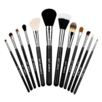 Sigma Makeup Brush Set in elegant leather case 12 PCS