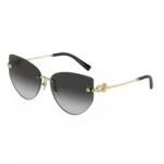 Tiffany & Co Butterfly Sunglasses Women 0TF3096
