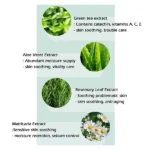 ⁦منظف ​​رغوي لطيف مع فرشاة من 3W كلينيك، 150 مل⁩ - الصورة ⁦4⁩